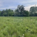 Działka na Sprzedaż, 1000m2, Konary - 3