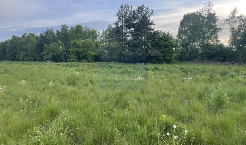 Działka na Sprzedaż, 1000m2, Konary - 3