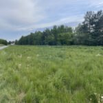 Działka na Sprzedaż, 1000m2, Konary - 4