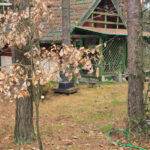 Dom na Sprzedaż, 37.00m2, Przybynów - 6