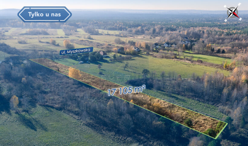 Działka na Sprzedaż, 17105.00m2, Góra Włodowska - 3