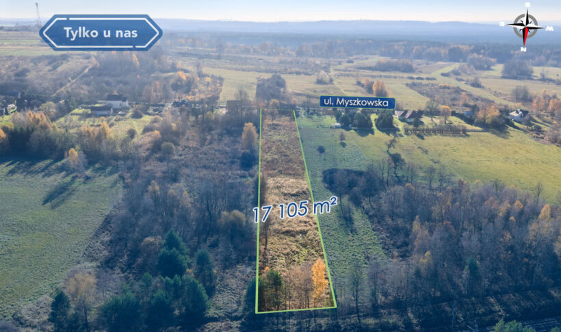 Działka na Sprzedaż, 17105.00m2, Góra Włodowska - 4