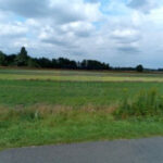 Działka na Sprzedaż, 13644.00m2, Dankowice - 4