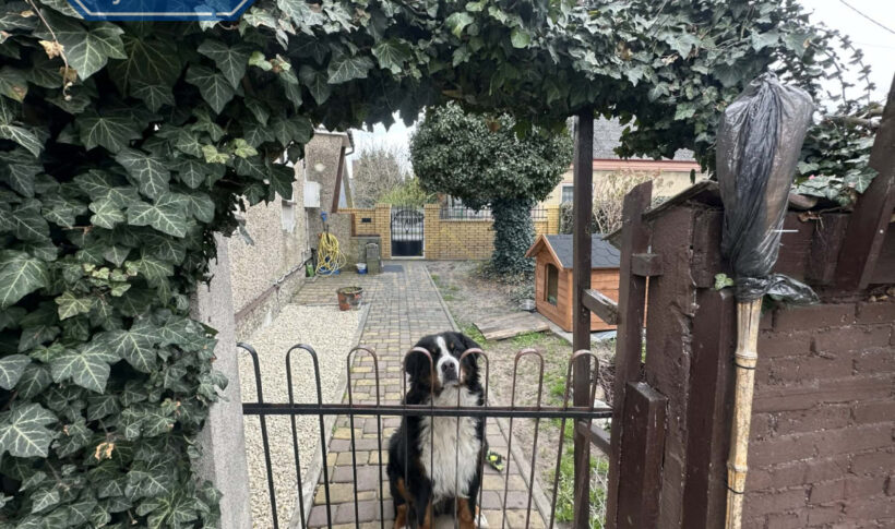 Dom na Sprzedaż, 160.00m2, Przyrów - 11