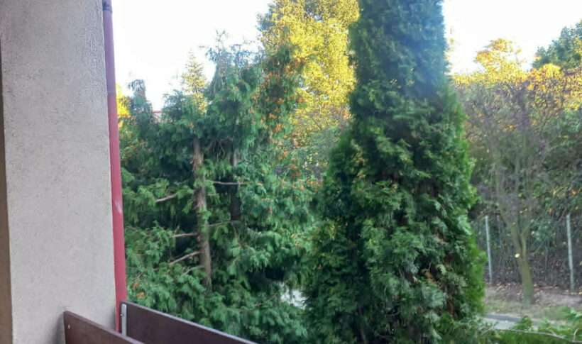 Mieszkanie na Sprzedaż, 54.90m2, Częstochowa-Parkitka - 5