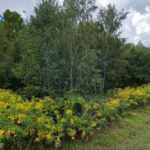 Działka na Sprzedaż, 2295.00m2, Częstochowa-Stradom - 4