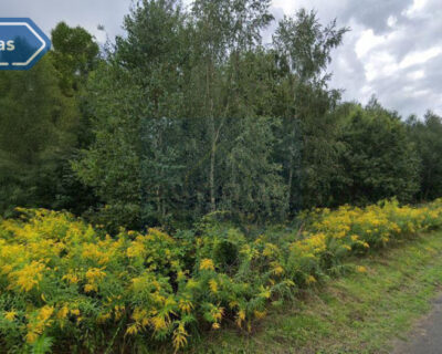 Działka na Sprzedaż, Częstochowa-Stradom