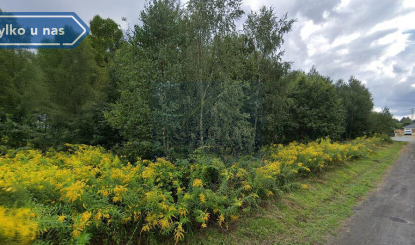 Działka na Sprzedaż, 1101.00m2, Częstochowa-Stradom - 0