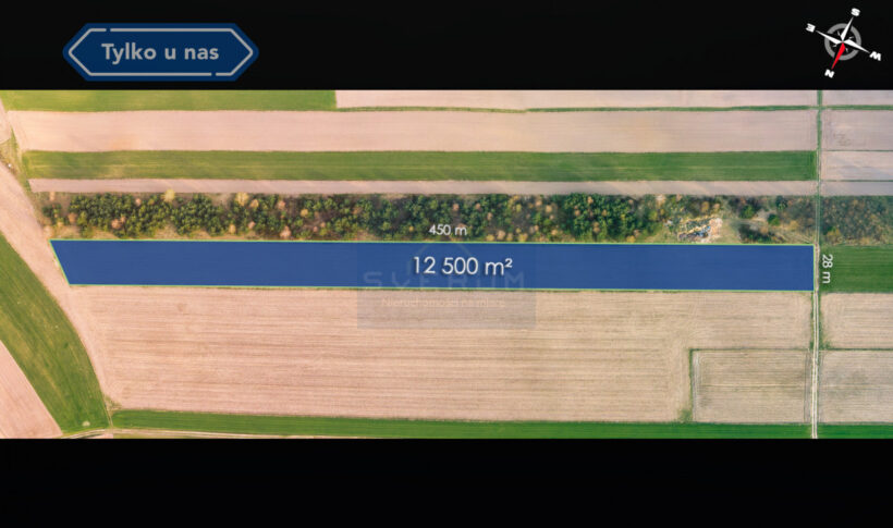 Działka na Sprzedaż, 12500.00m2, Rogi - 2