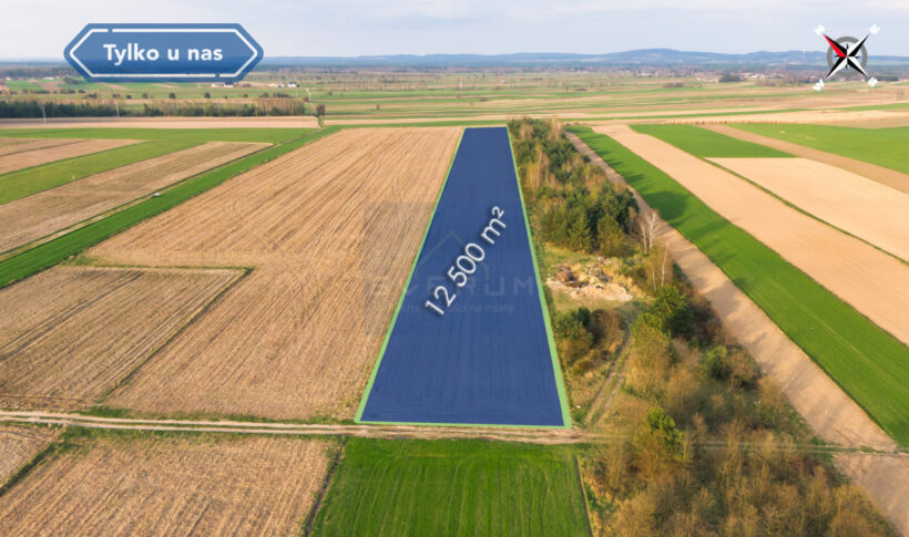 Działka na Sprzedaż, 12500.00m2, Rogi - 1