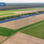 Działka na Sprzedaż, 12500.00m2, Rogi - 0