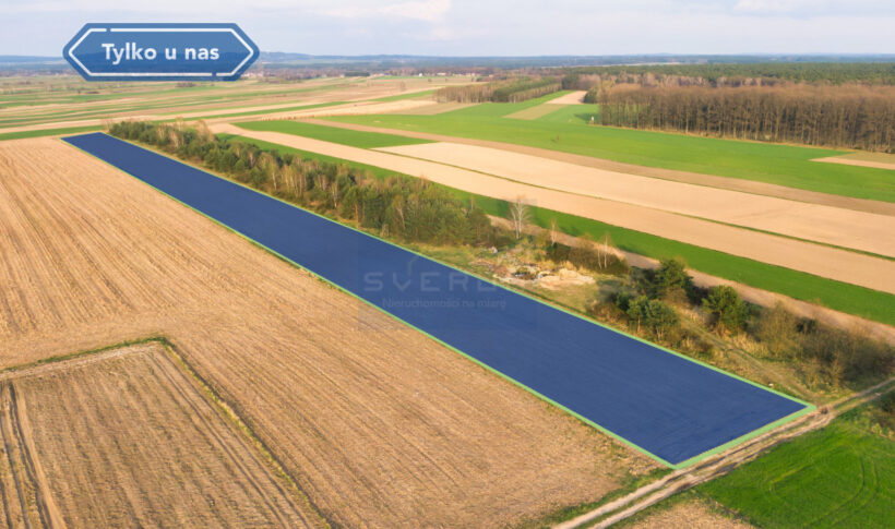 Działka na Sprzedaż, 12500.00m2, Rogi - 4