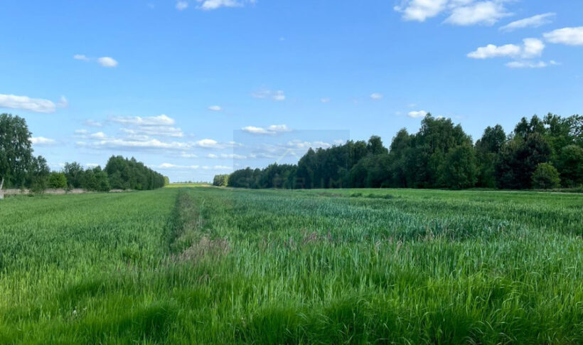 Działka na Sprzedaż, 14000.00m2, Lubojna - 1