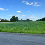 Działka na Sprzedaż, 14000.00m2, Lubojna - 0