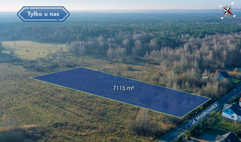 Działka na Sprzedaż, 7115.00m2, Góra Włodowska - 2