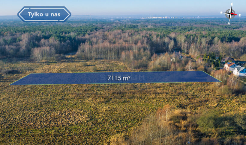 Działka na Sprzedaż, 7115.00m2, Góra Włodowska - 1