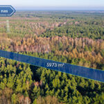 Działka na Sprzedaż, 5973.00m2, Borowe - 1