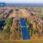 Działka na Sprzedaż, 5973.00m2, Borowe - 2