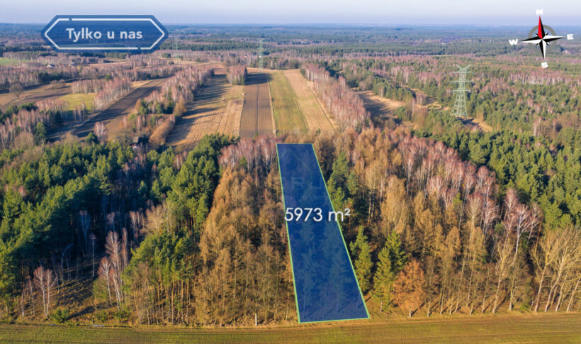 Działka na Sprzedaż, 5973.00m2, Borowe - 2