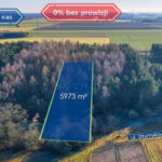 Działka na Sprzedaż, 5973.00m2, Borowe - 0