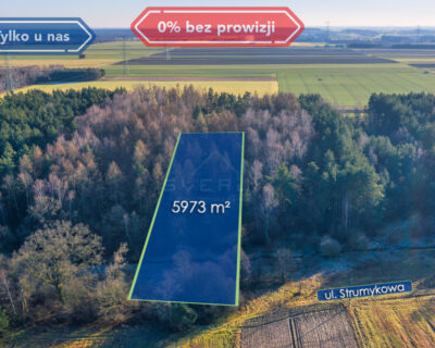 Działka na Sprzedaż, Borowe