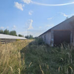 Magazyn na Sprzedaż, 330.00m2, Gorzelnia-Nowa Gorzelnia - 4