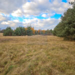 Dom na Sprzedaż, 140.00m2, Żarki - 33