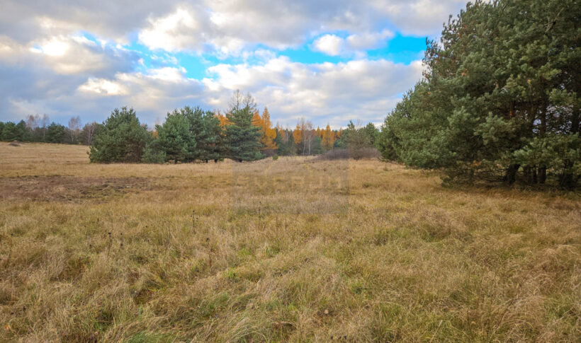 Dom na Sprzedaż, 140.00m2, Żarki - 33