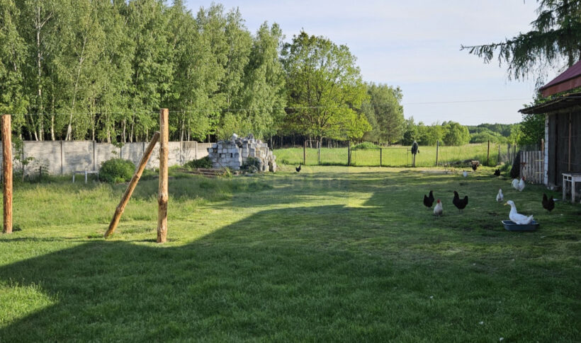 Dom na Sprzedaż, 60.00m2, Brzozowa - 14