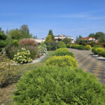 Działka na Sprzedaż, 3199.00m2, Częstochowa-Stradom - 4