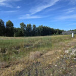 Działka na Sprzedaż, 1393.00m2, Częstochowa-Grabówka - 5