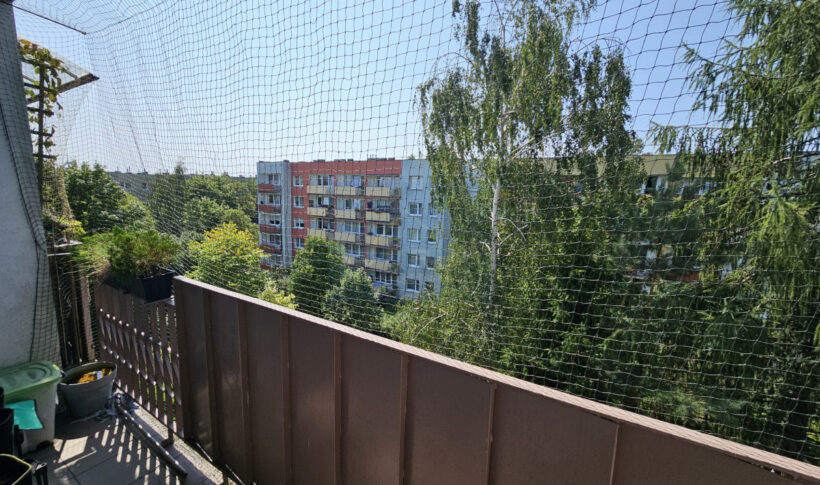 Mieszkanie na Sprzedaż, 52.00m2, Częstochowa-Północ - 4