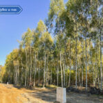 Działka na Sprzedaż, 610.00m2, Gruszewnia - 10