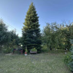 Dom na Sprzedaż, 35.00m2, Wyrazów - 10