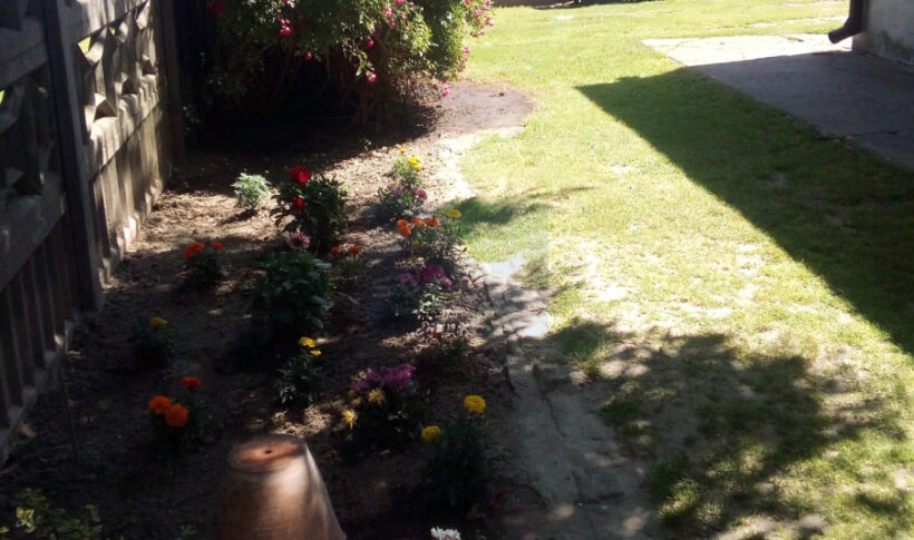 Dom na Sprzedaż, 89.00m2, Zdrowa - 10