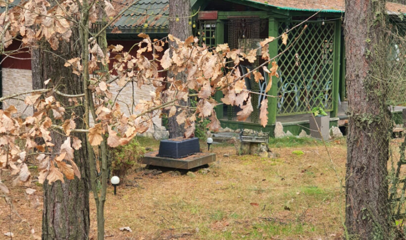 Dom na Sprzedaż, 37.00m2, Przybynów - 6