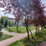 Mieszkanie na Wynajem, 43.40m2, Częstochowa-Wrzosowiak - 11