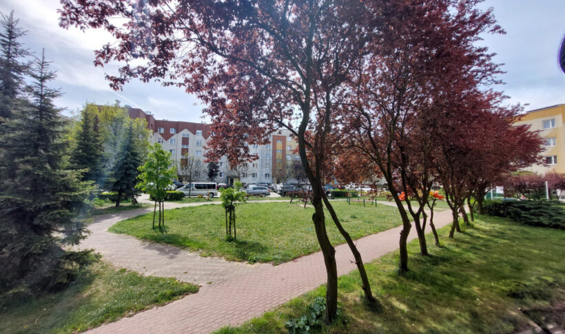 Mieszkanie na Wynajem, 43.40m2, Częstochowa-Wrzosowiak - 11