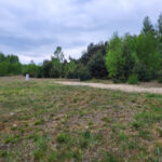 Działka na Sprzedaż, 826.00m2, Rybno - 0