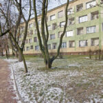 Mieszkanie na Wynajem, 21.00m2, Częstochowa-Tysiąclecie - 8