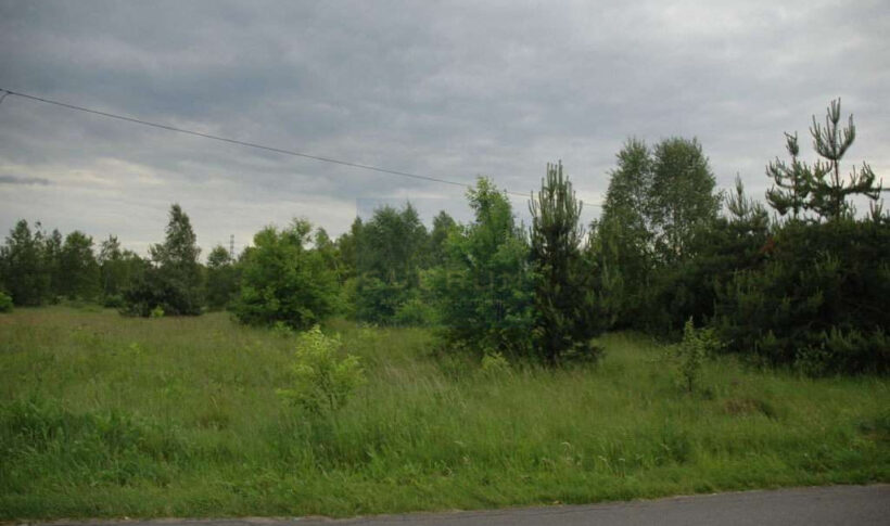 Działka na Sprzedaż, 7100.00m2, Nagłowice - 3
