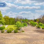 Lokal komercyjny na Sprzedaż, 960.00m2, Brzeziny-Kolonia - 28