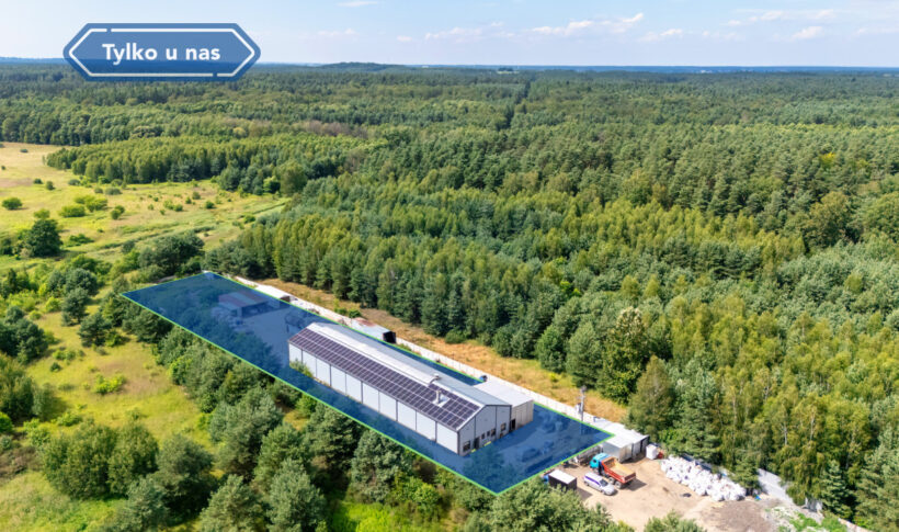 Hala na Wynajem, 704.00m2, Wręczyca Mała - 13