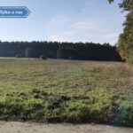 Działka na Sprzedaż, 1468.00m2, Kruszyna - 6
