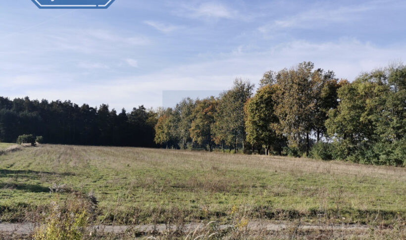 Działka na Sprzedaż, 1649.00m2, Kruszyna - 5