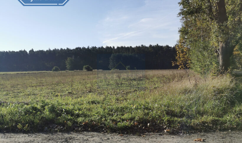 Działka na Sprzedaż, 1649.00m2, Kruszyna - 6