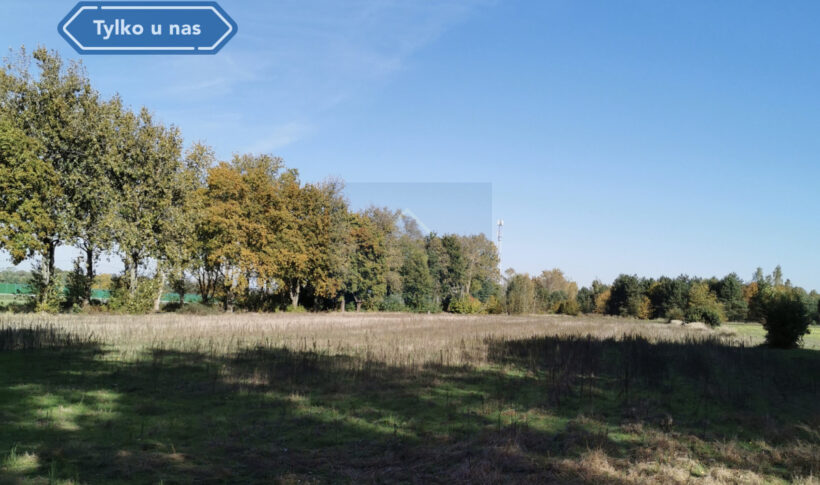 Działka na Sprzedaż, 1649.00m2, Kruszyna - 4
