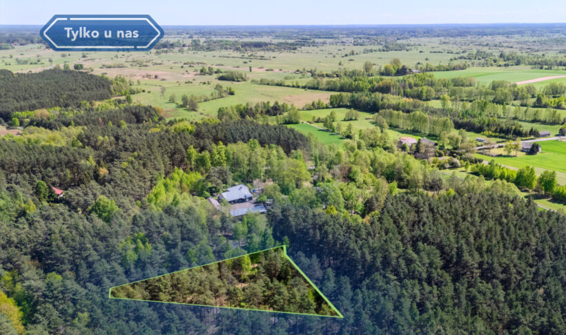 Działka na Sprzedaż, 3002.00m2, Grodzisko - 1