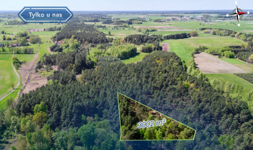 Działka na Sprzedaż, 3002.00m2, Grodzisko - 4