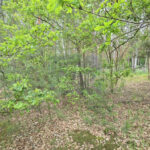 Działka na Sprzedaż, 711.00m2, Łęg - 1